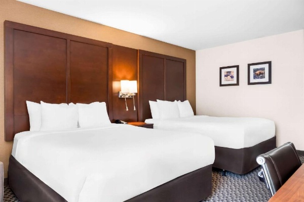 Comfort Inn At Buffalo Bill Village Resort image 12
